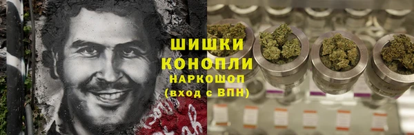 гашик Арсеньев