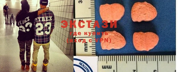индика Медвежьегорск